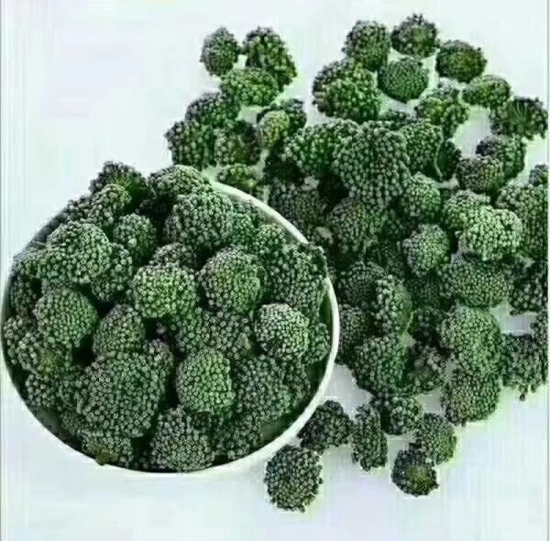 云南文山春三七花三年花，四年花，产地直销大量发价格优惠
