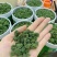 云南文山春三七花三年花，四年花，产地直销大量发价格优惠