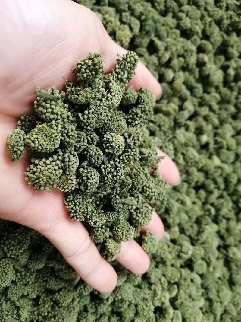 云南文山春三七花三年花，四年花，产地直销大量发价格优惠