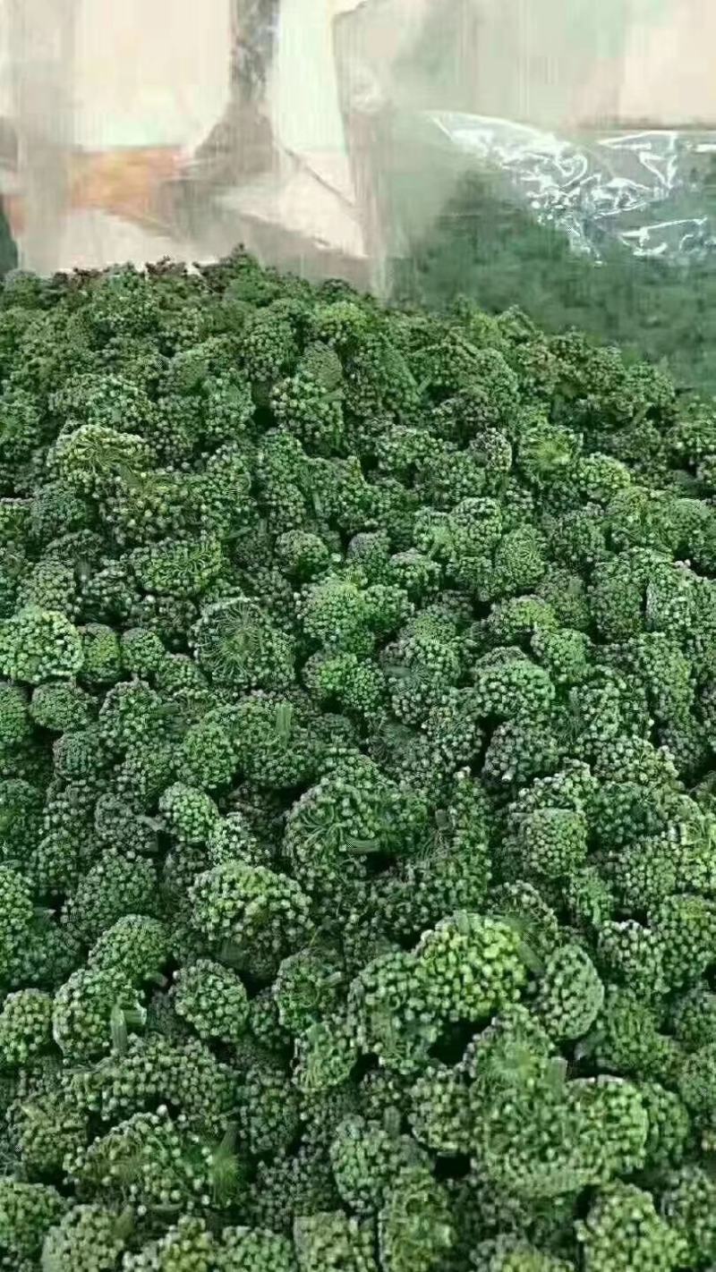 云南文山春三七花三年花，四年花，产地直销大量发价格优惠