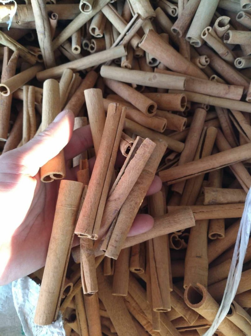 手工搓烟桂长条正品桂皮