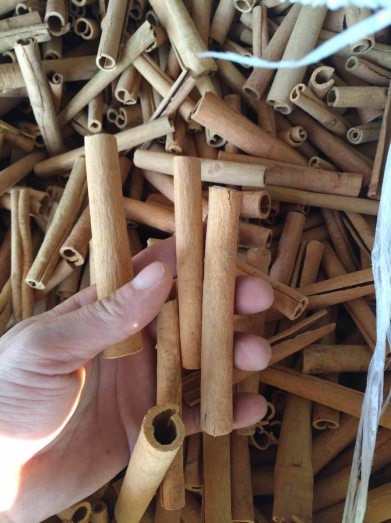 手工搓烟桂长条正品桂皮