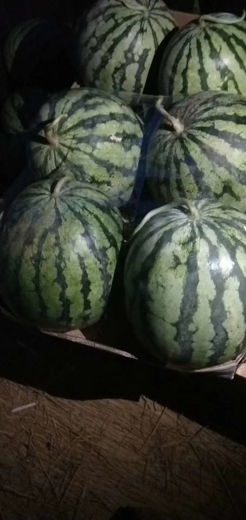 超甜8424西瓜头茬产地直供，优质麒麟西瓜精品包装