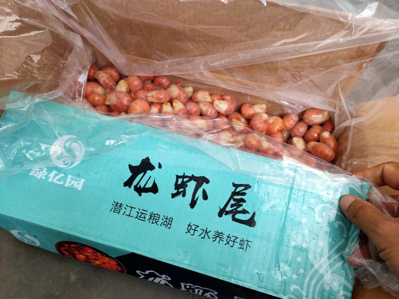 特价龙虾尾，2级，肉质Q弹
