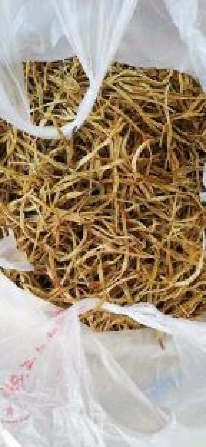 大量湖南黄花菜二级大条菜