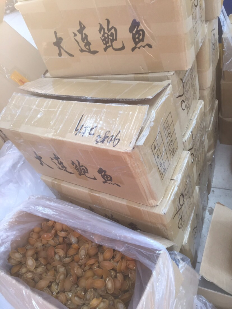 鲍鱼大连鲍鱼A货批发头数齐全一件代发