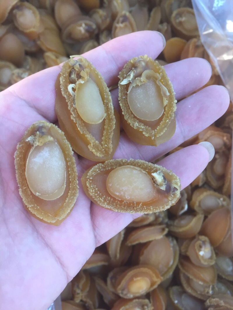 鲍鱼大连鲍鱼A货批发头数齐全一件代发