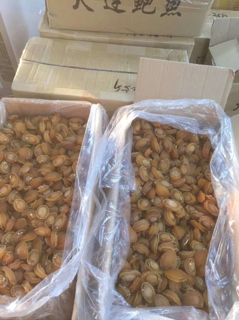 鲍鱼大连鲍鱼A货批发头数齐全一件代发