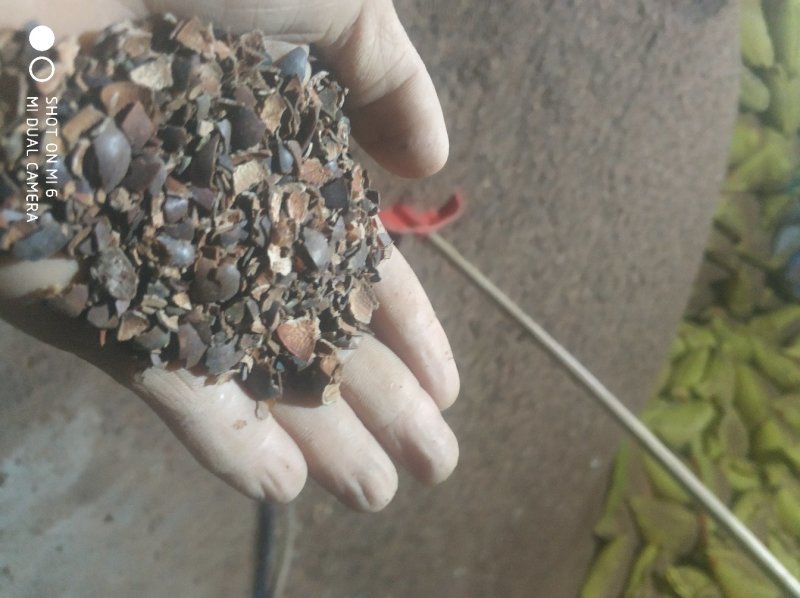 莲壳粉碎莲子壳干莲子壳莲子壳