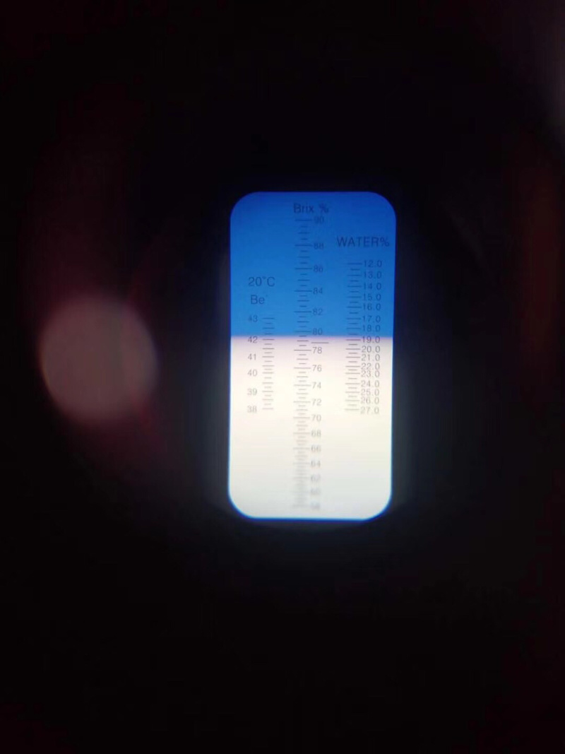 成熟椴树蜜