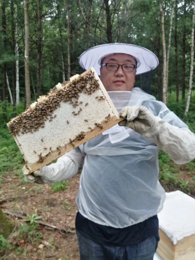 成熟椴树蜜