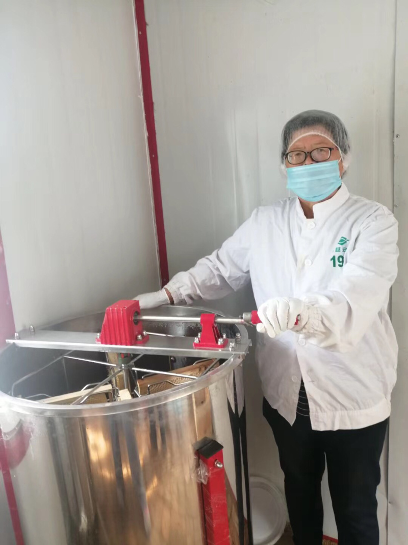 成熟椴树蜜