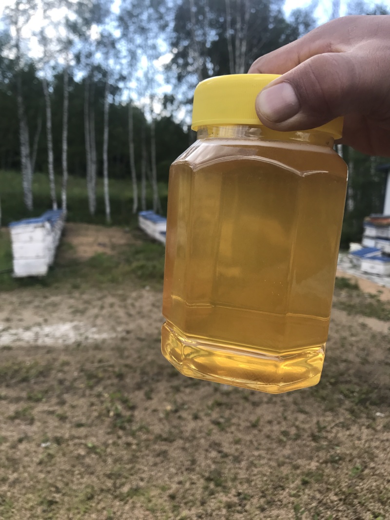 成熟椴树蜜