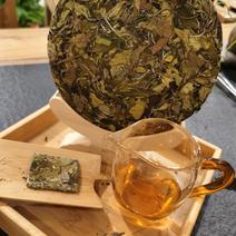 福鼎白茶白露茶老白茶