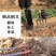 松土神器户外翻土开荒锄头深翻器耙子农具家用挖土工具钢
