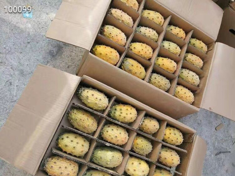 火参果新鲜精选果，支持一件代发电商批发联系