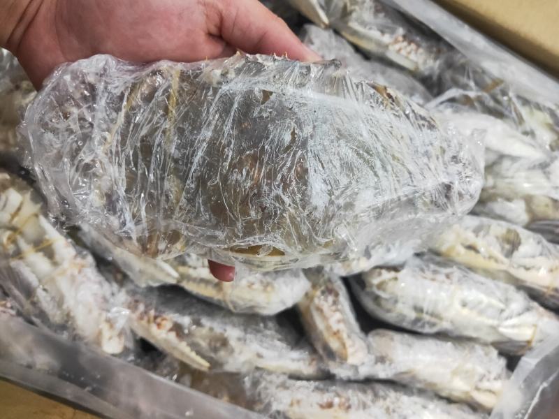 西非蓝蟹，一件15公斤。上海现货大量批发