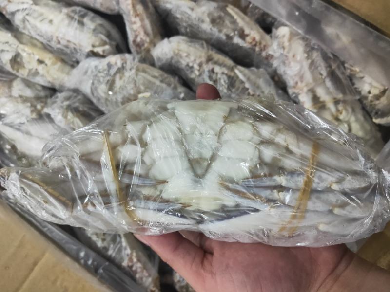 西非蓝蟹，一件15公斤。上海现货大量批发