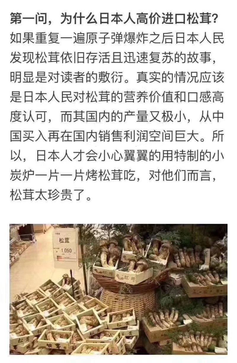 东北特产长白山野生鲜松茸