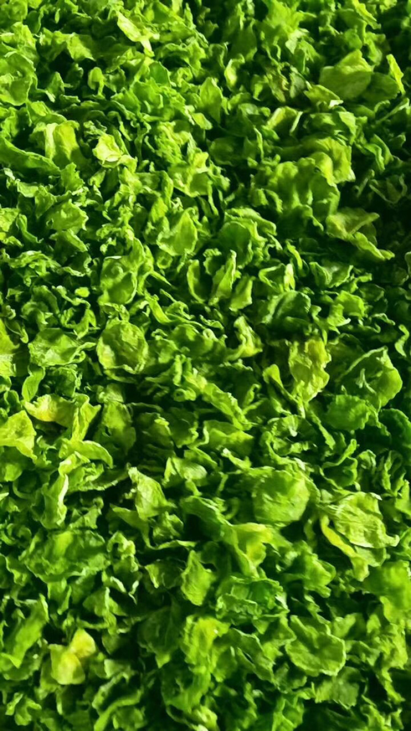 脱水蔬菜莴笋干20斤/件批发商用特色菜系列嘎嘣脆