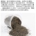 霍香蓟种子大花蓝花冠藿香蓟花种子地被植物野花组合种子