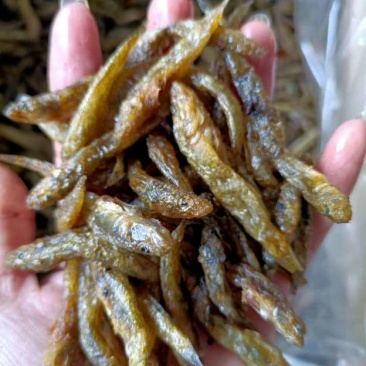 油炸小黄鱼精品小黄鱼