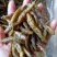 油炸小黄鱼精品小黄鱼
