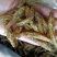 油炸小黄鱼精品小黄鱼