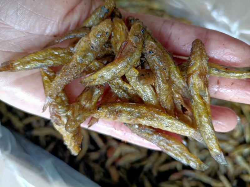 油炸小黄鱼精品小黄鱼