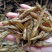 油炸小黄鱼精品小黄鱼