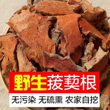 金刚藤菝葜根拔契新鲜干货
