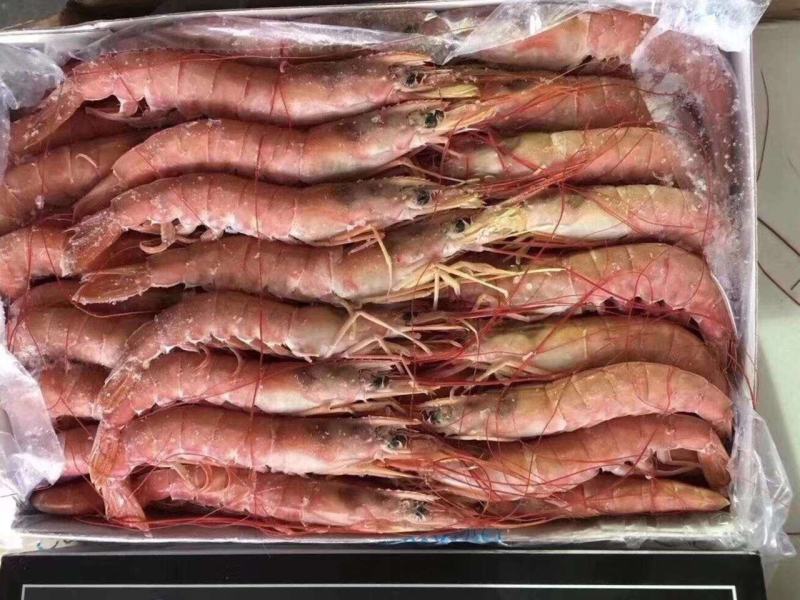 红虾，一件6盒，12公斤。上海现货