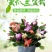 蟹爪兰盆栽大苗带根室内阳台绿植多色花卉多肉植物四季开花包