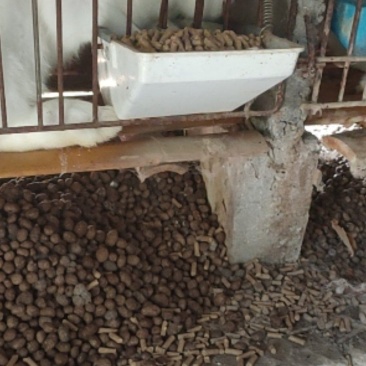 【热卖】牛粪发酵牛粪有机肥料货量充足基地直销