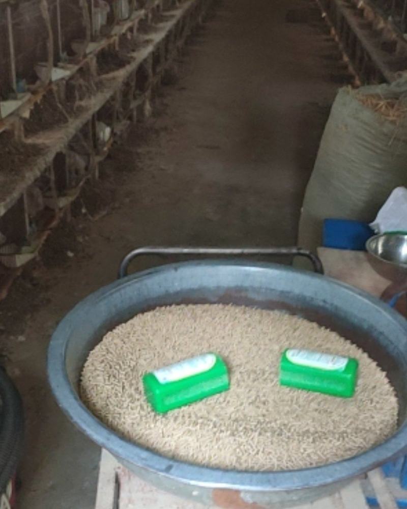 【热卖】牛粪发酵牛粪有机肥料货量充足基地直销