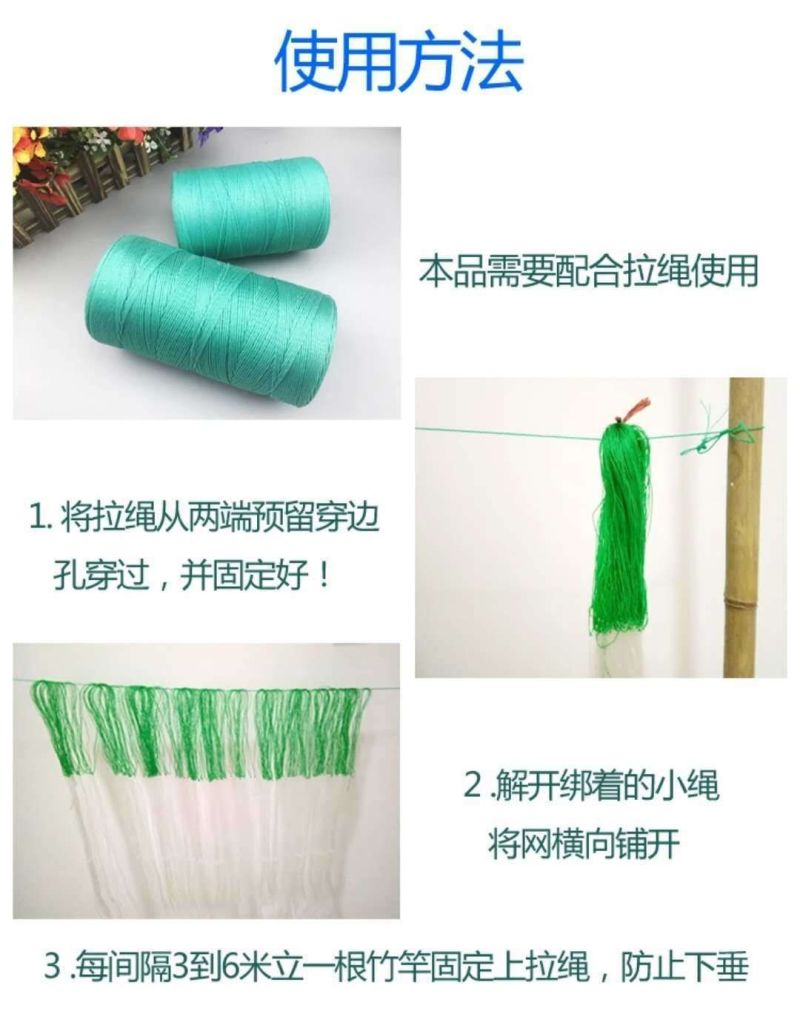 植物种植网爬藤网粗九股吊瓜网百香果网南瓜网西瓜网茭瓜网