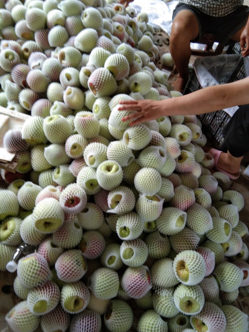 华硕苹果大量上市，量大从优，欢迎客商前来采购
