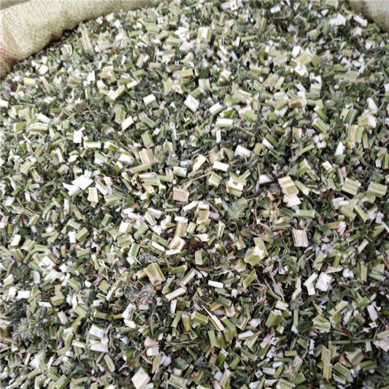 益母草青色新货无硫山东益母草坤草泡脚益母草