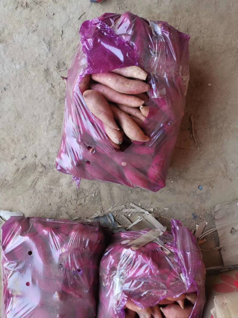龙薯九，大头，小红薯本产地批发各种红薯，支持各种包装，可