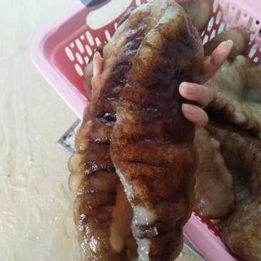 非洲大猪婆参特级靓货（酒席，酒店专用，口感佳营养价值高）