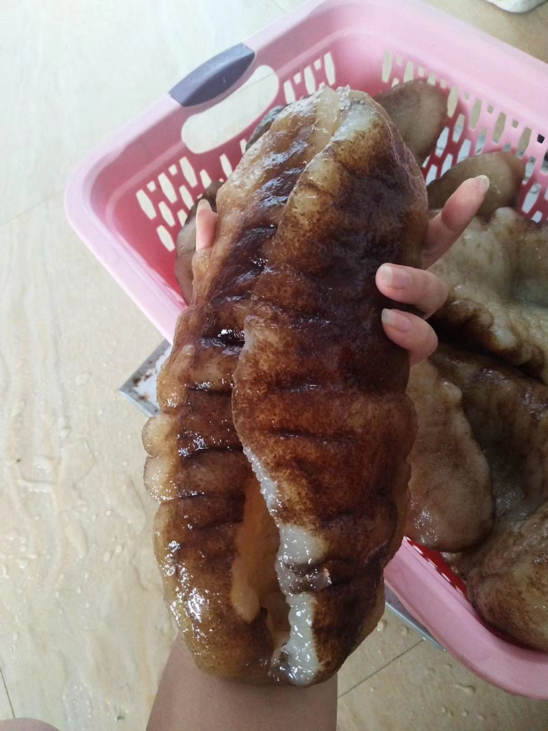 非洲大猪婆参特级靓货（酒席，酒店专用，口感佳营养价值高）