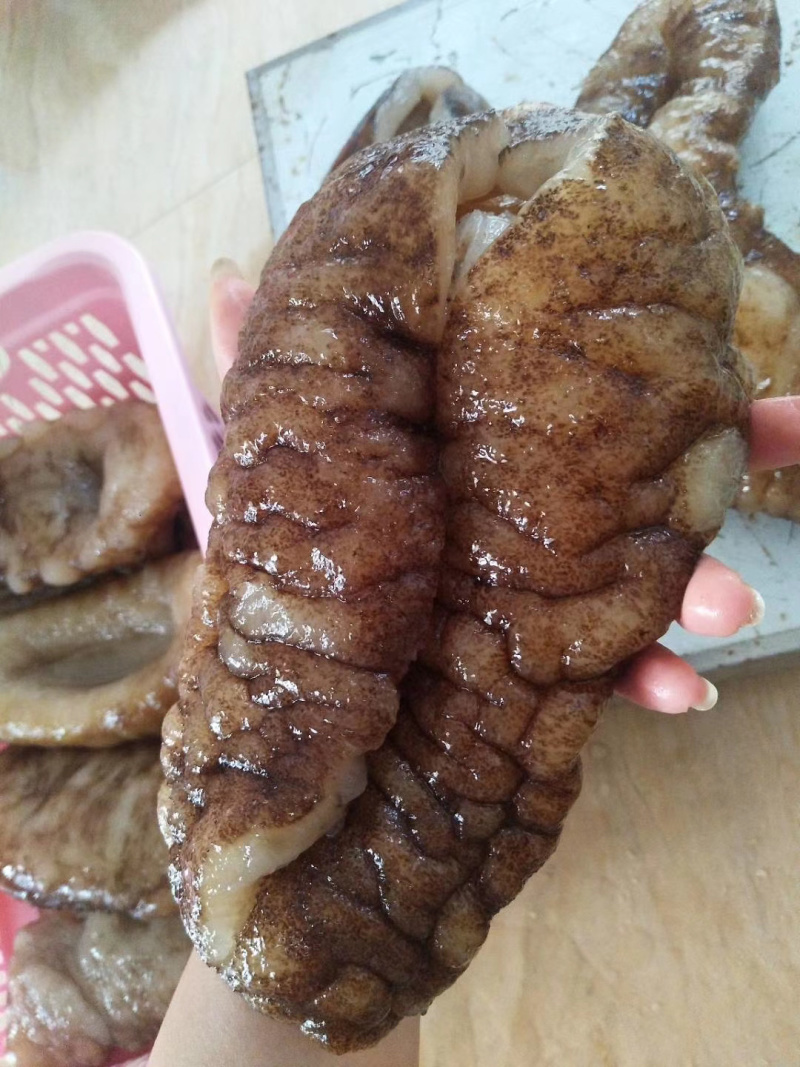 非洲大猪婆参特级靓货（酒席，酒店专用，口感佳营养价值高）