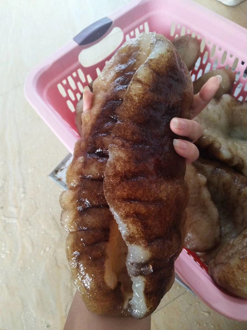 非洲大猪婆参特级靓货（酒席，酒店专用，口感佳营养价值高）