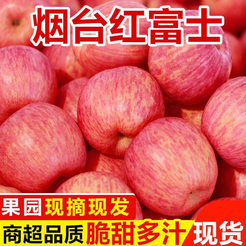 一件代发烟台红富士苹果水果当季新鲜洛川脆甜