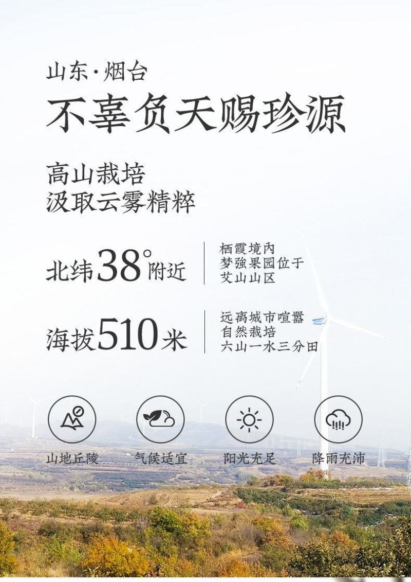 一件代发烟台红富士苹果水果当季新鲜洛川脆甜