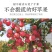 一件代发烟台红富士苹果水果当季新鲜洛川脆甜