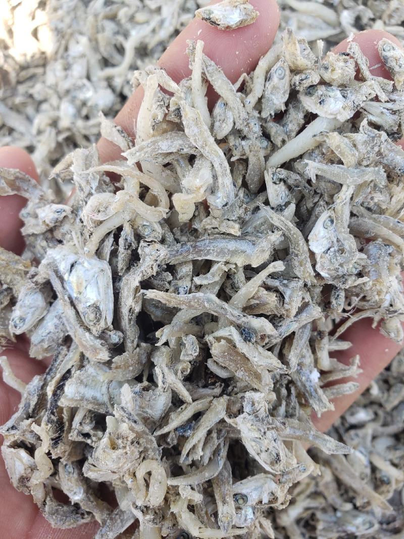 现有大量饲料鱼干，干度好盐分低蛋白高，一手货源
