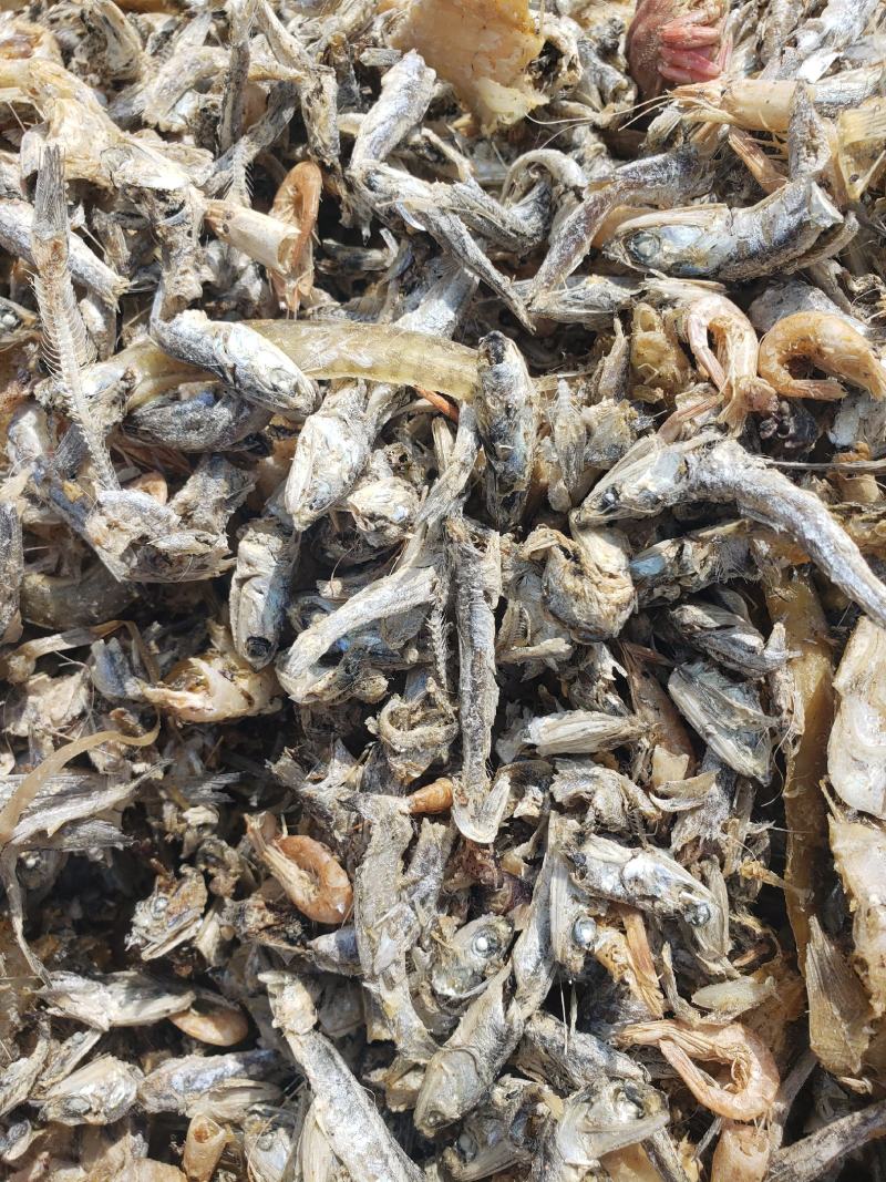 现有大量饲料鱼干，干度好盐分低蛋白高，一手货源