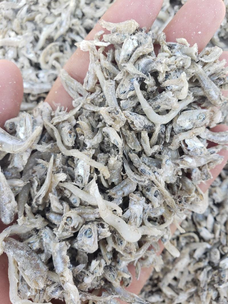 现有大量饲料鱼干，干度好盐分低蛋白高，一手货源