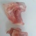 猪筒子骨(红烧，傲面汤神器)筒子骨前筒子骨前腿骨
